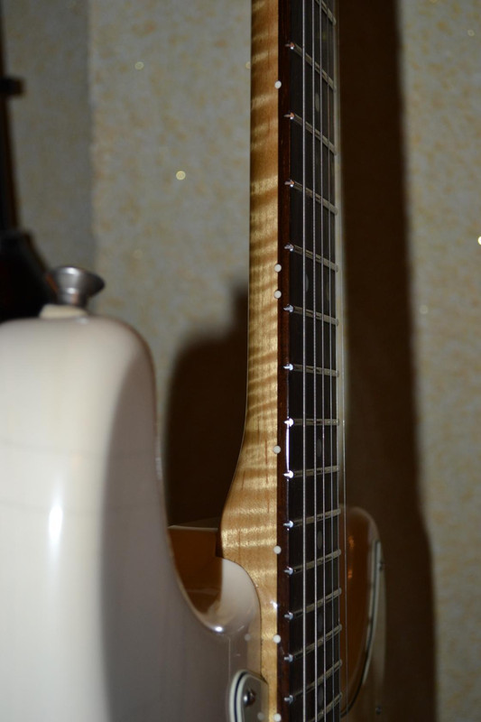 Гриф моего страта