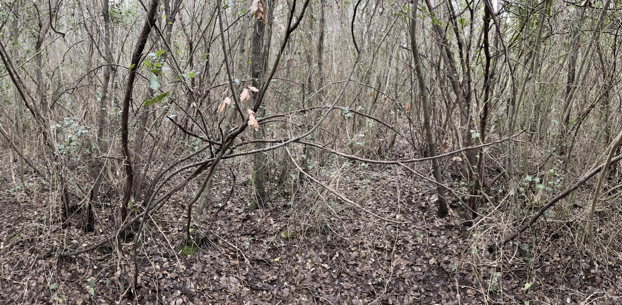 D2B0EAE6-717F-4A3C-BC53-02DE685D8F1F