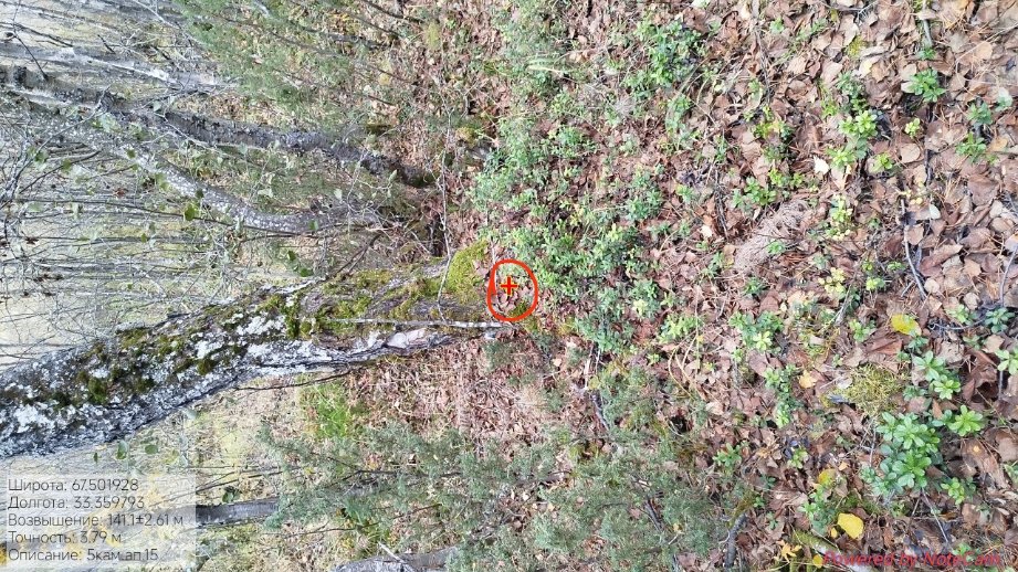 IMG_20251003_200835_6