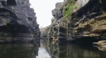 buriti-dos-montes-piau.gif