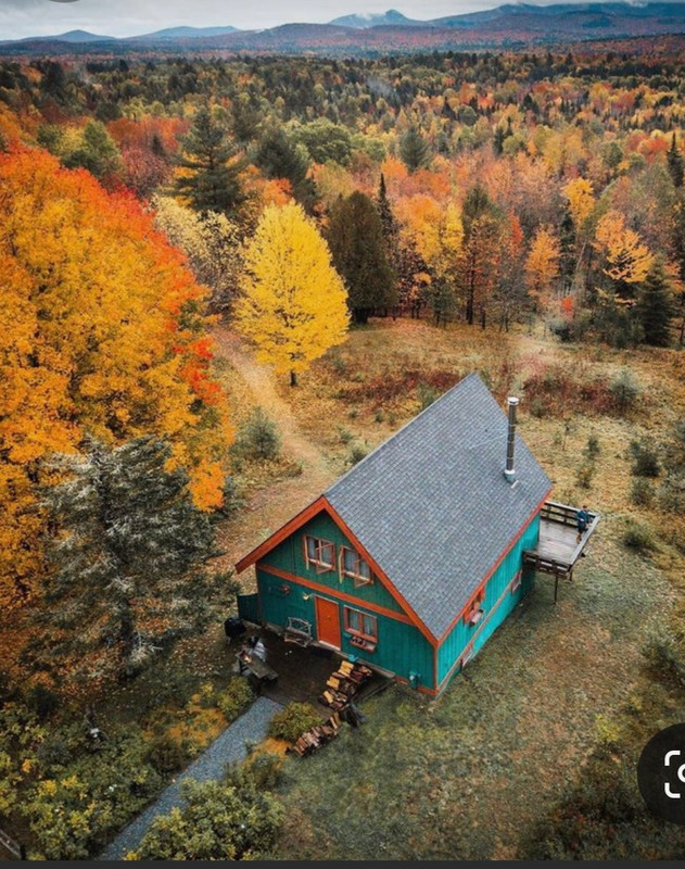 Screenshot_20231117_205136_Pinterest