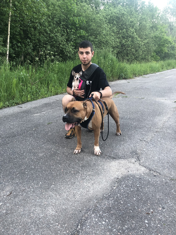 BA48FD54-A982-49A9-9B9C-E98947724924