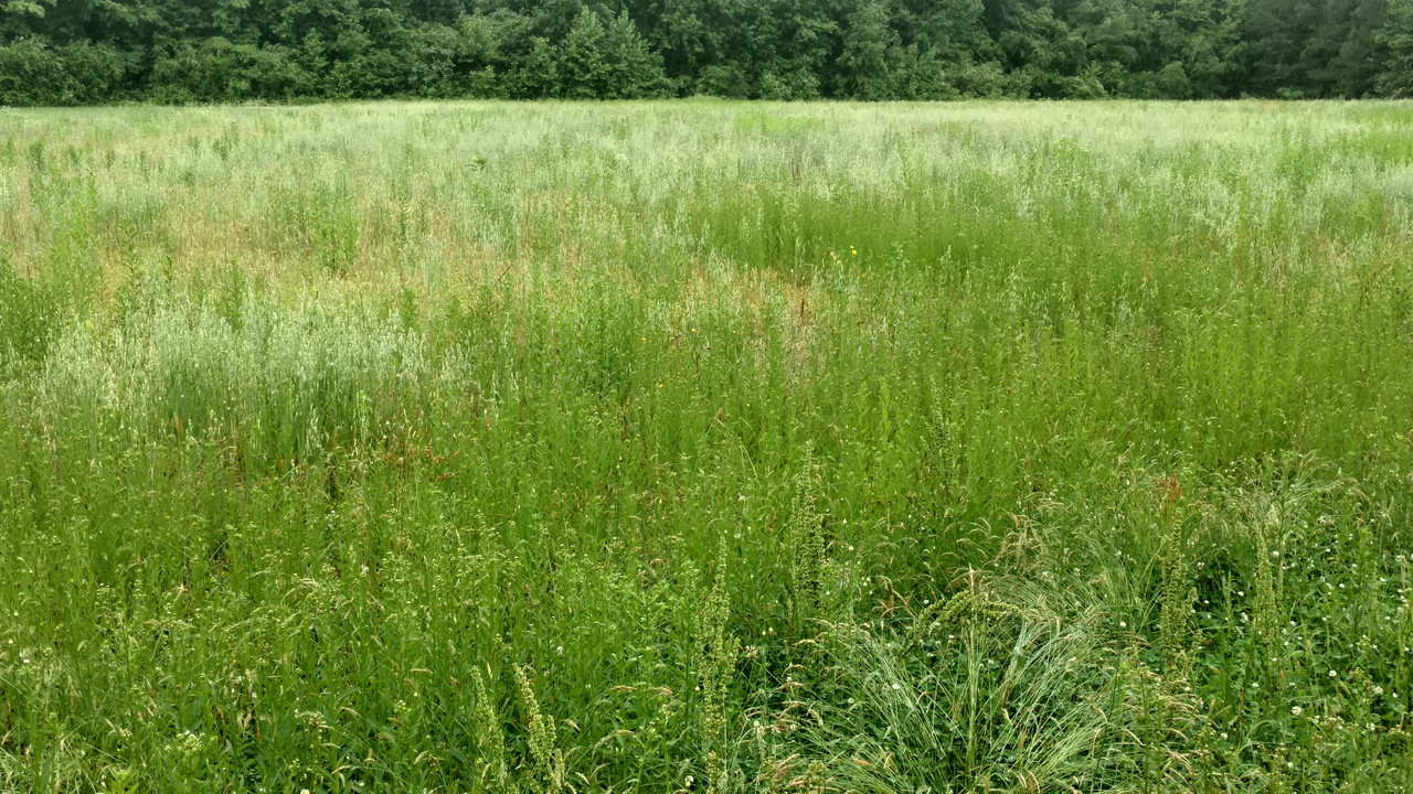 IMG_20180519_135655013_HDR