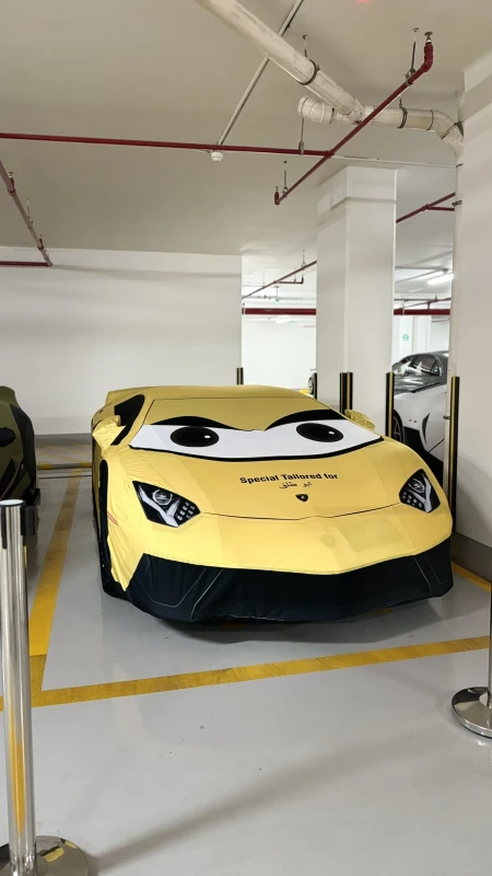 Lamborghini SV Indoor Artistic Cover