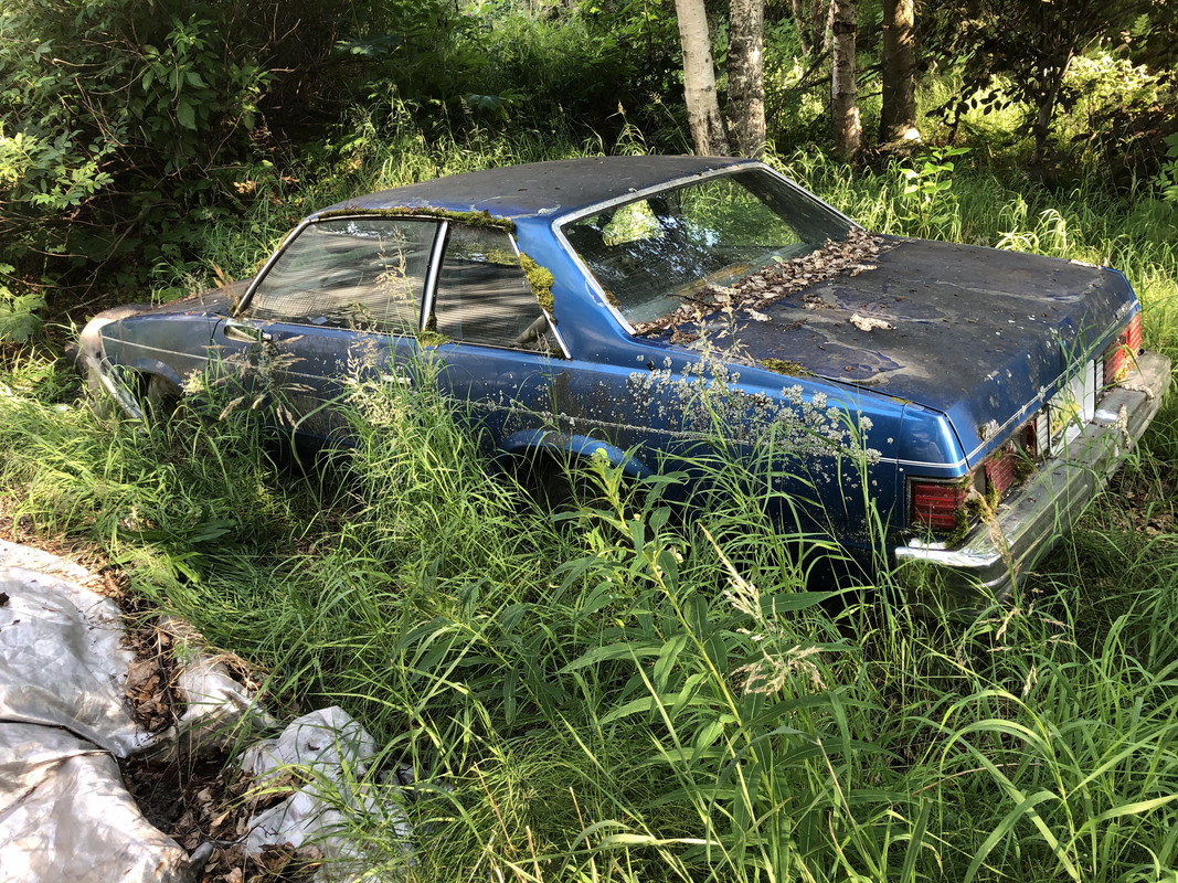 CA002BFC-3C1F-4351-AC4B-9553832E0144