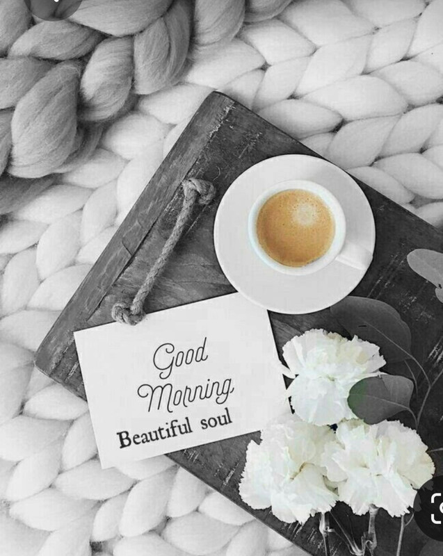 Screenshot_20230328_003651_Pinterest