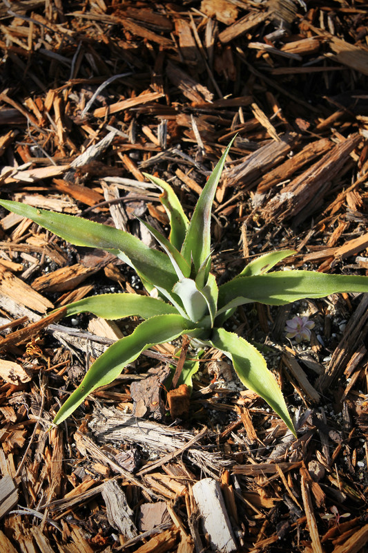 527F010A-F48F-4748-B3A4-074998A373A4_1_201_a