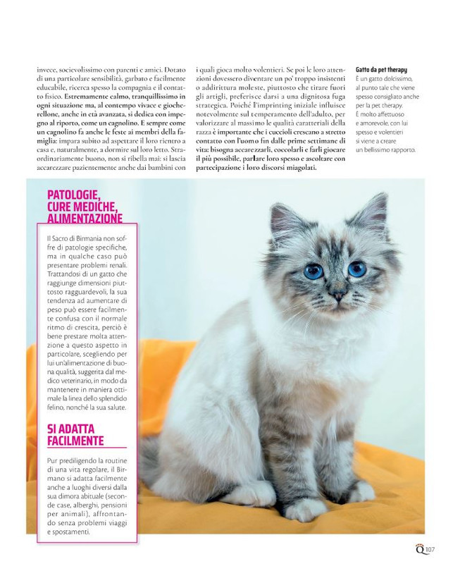 QuattroZampe Ago 2021 (10)