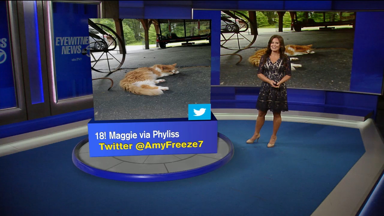 18 July - 11.00.00 - Eyewitness News This Morning..ts_snapshot_00.45.53.744