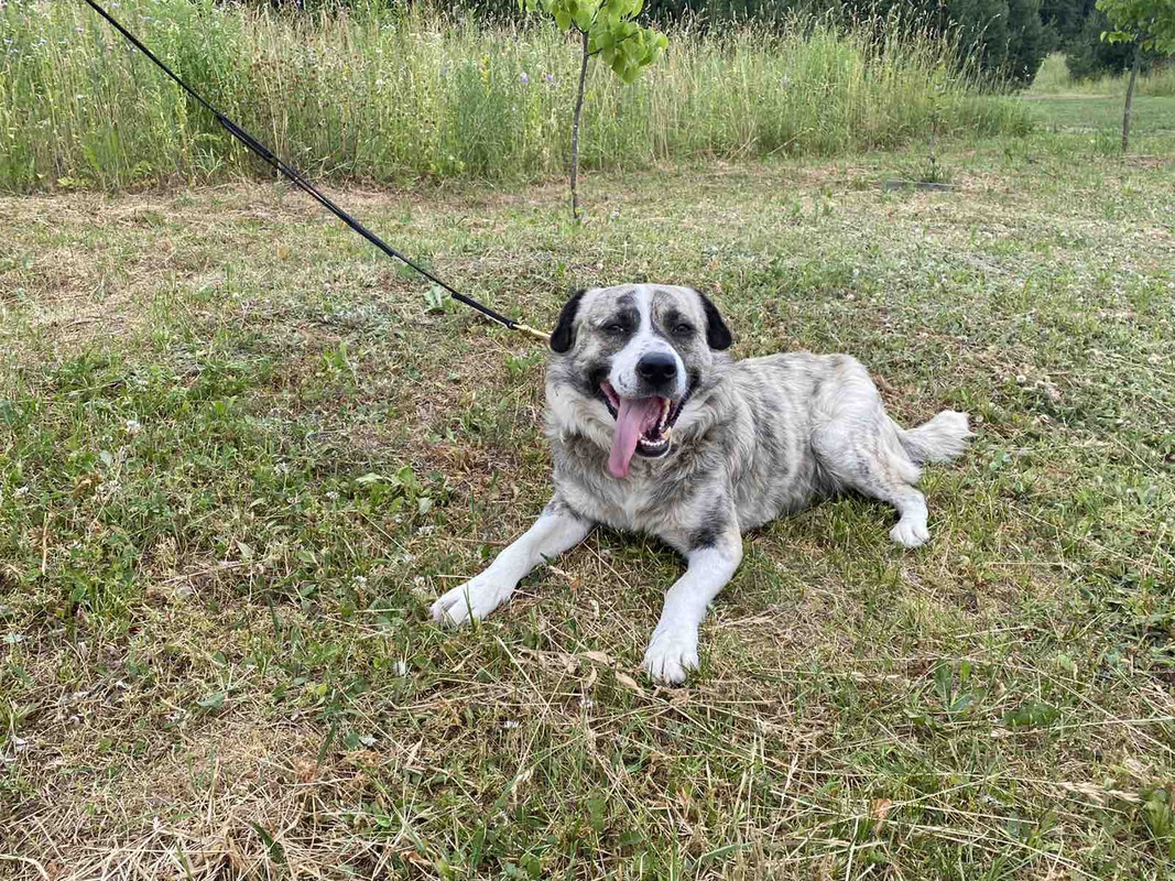 70815BCF-FFB2-4812-A2DB-E0E5C5886D73