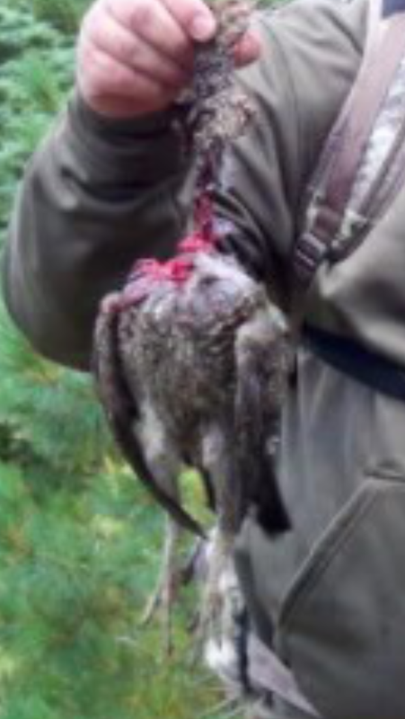 9E68AB60-142B-4A91-98DE-CF2447288455