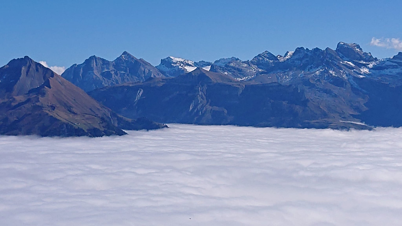 Whats App Image 2025 10 14 at 14 04 22