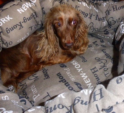 [Image: P1050404.jpg]