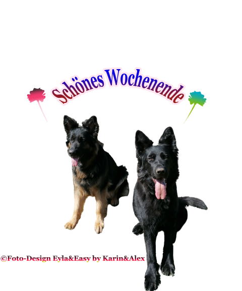 An den Beitrag angehängtes Bild: https://i.postimg.cc/mgvbMsVH/WE23-04-21.png