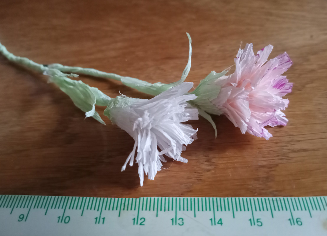 IMG_20240306_170024_1