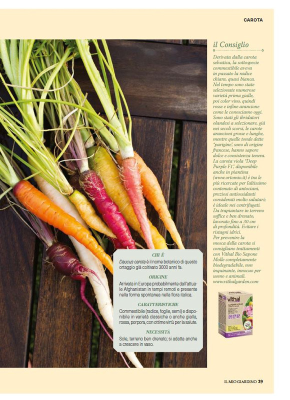 Il Mio Giar Giu-Lug 2025 (10)