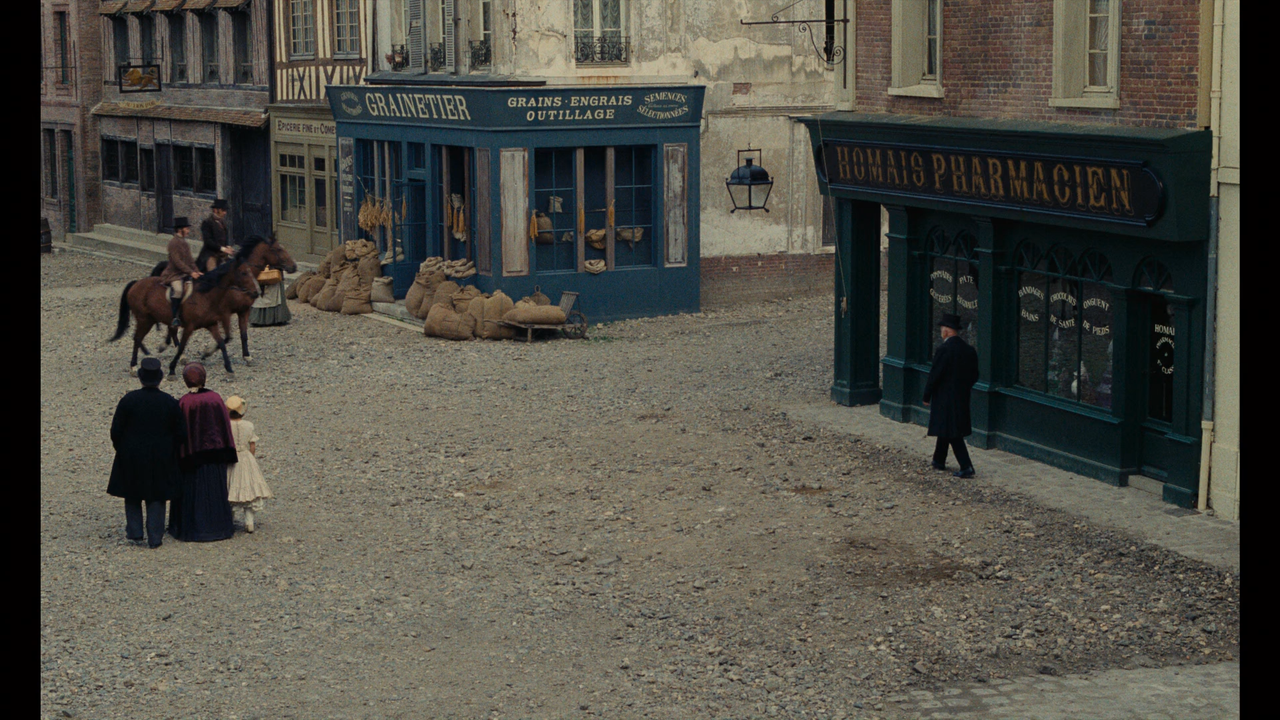 mpv shot MADAME BOVARY 1991 1080p Arrow BDRemux AVC Нечипорук 00 33 42 0006