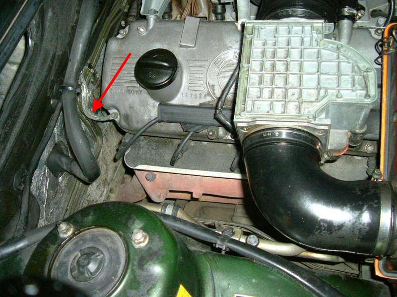 MasaM30.jpg