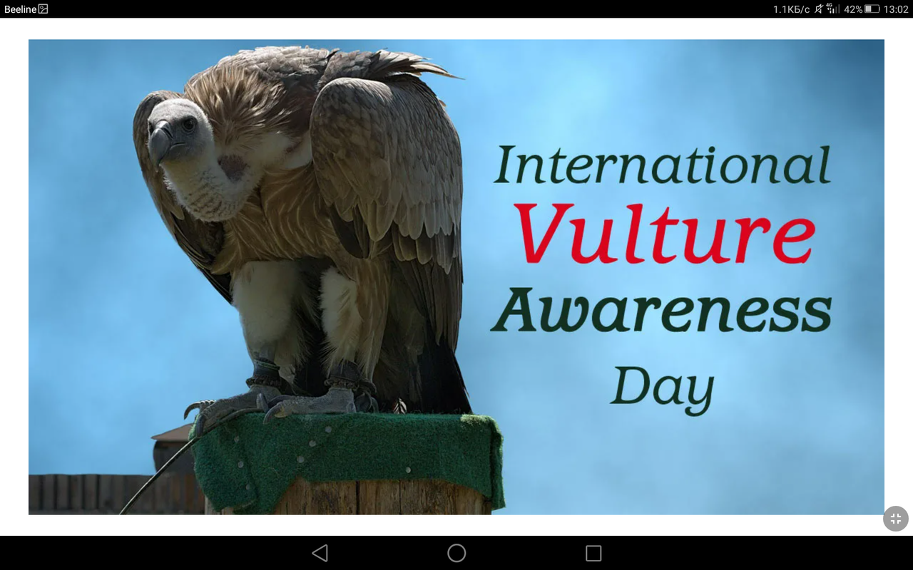 Screenshot_2023-09-02-13-02-30