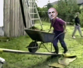 Levy-Wheelbarrow-Fall.gif