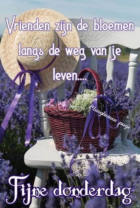 donderdag-vrienden-zijn
