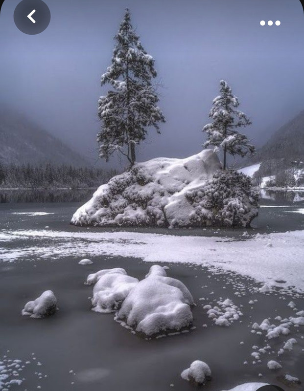 Screenshot_20231019_204735_Pinterest