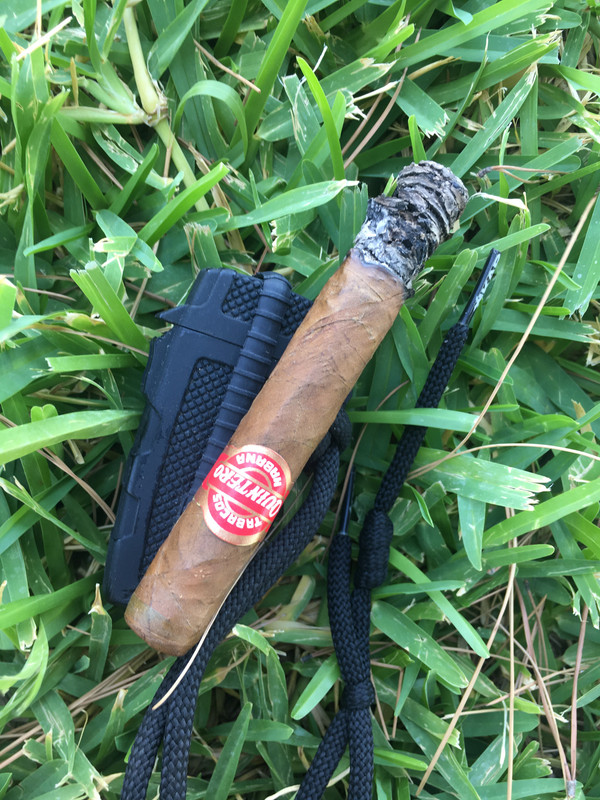 D8C51CAE-B2A1-44D9-A0B1-50BE852233B9