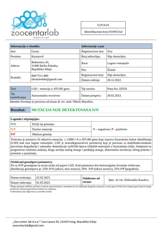 LSD Report
