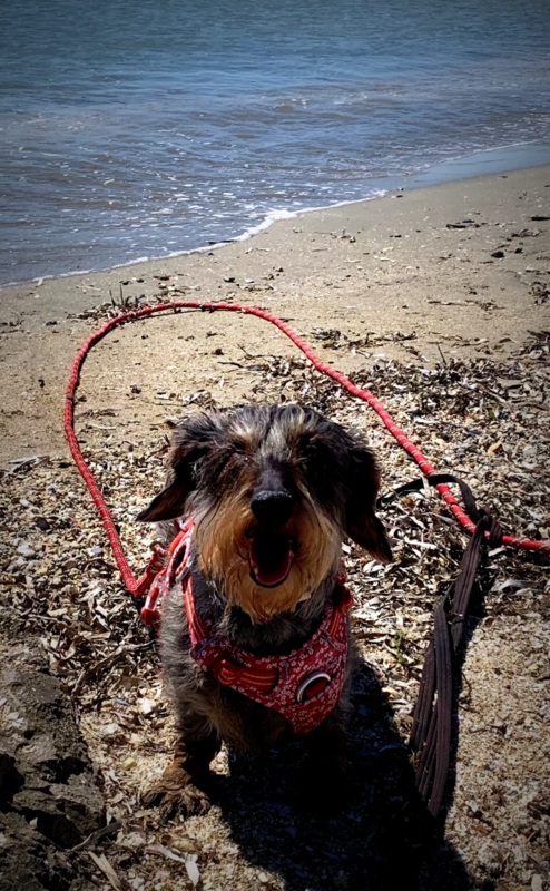 [Image: IMG-2866.jpg]