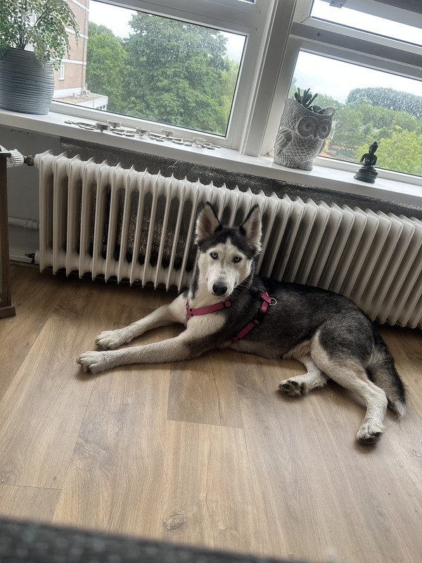 7D1A0573-CE44-4BB8-BEEC-E5E83B9F506F