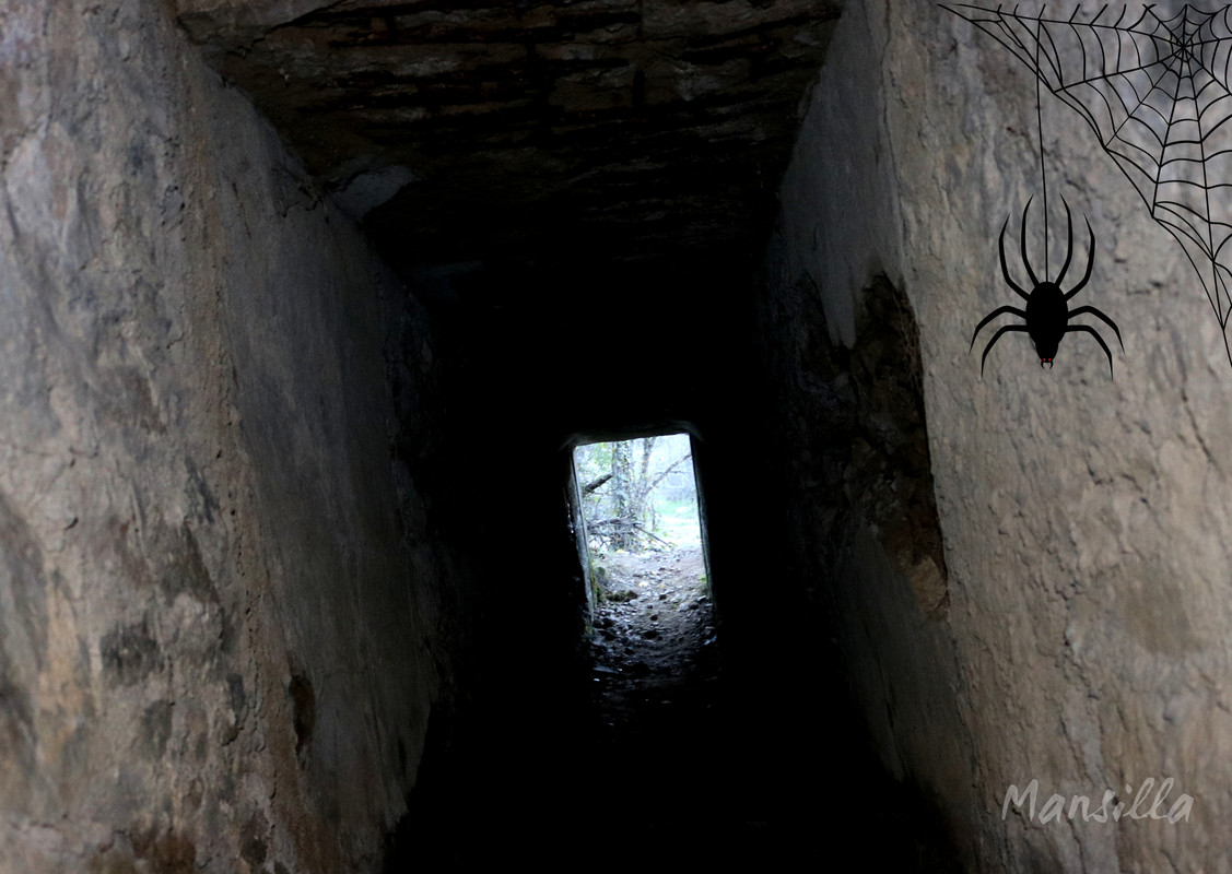 Castañar_RDPR_0253_03