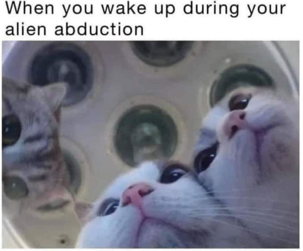 When-you-wake-up-during-alien-abduction.