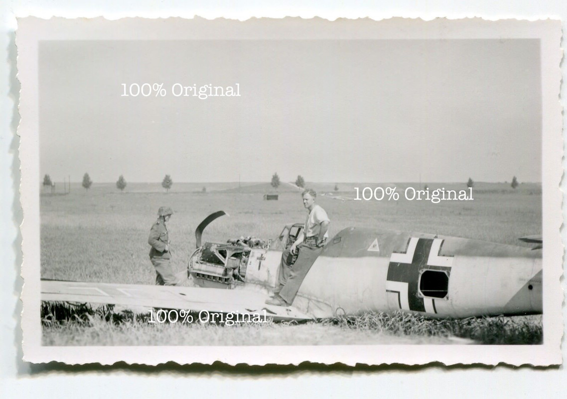 Foto abgestürztes Flugzeug Me109 Bf109 Staffelwappen Mailing Wap
