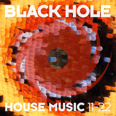 31be777f 6d37 4f74 9282 e6f7bef2cecf - VA - Black Hole House Music 11-22 (2022)