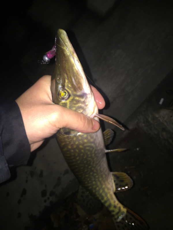 E5BBF3EA-0E80-4878-99C7-3EAD09E9FEC7