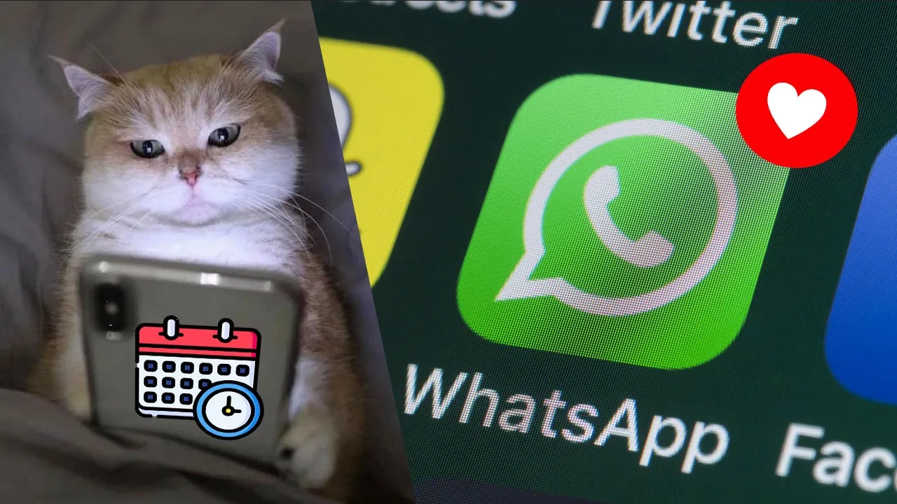 Programar mensaje WhatsApp San Valentín: Guía paso a paso (2024)