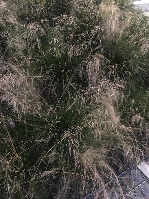 775E7C69-38CC-4964-AA8F-89B3195334C2