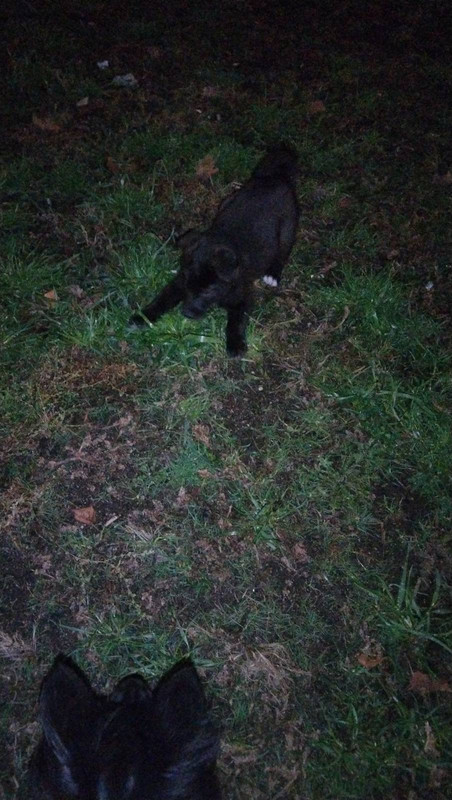 F6BDE396-5772-4445-89A6-76D2B8D843BA