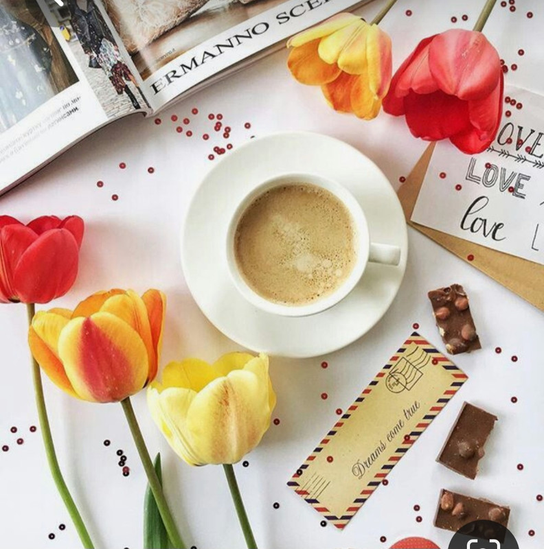 Screenshot_20230330_231948_Pinterest