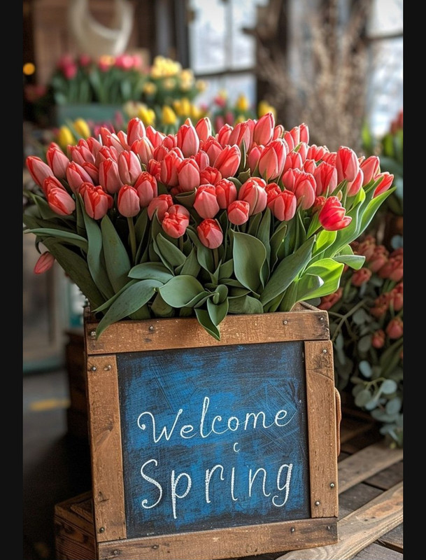 Screenshot_20240604_152418_Pinterest