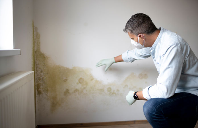 Effective Mold Removal in Hartland: A Comprehensive Guide