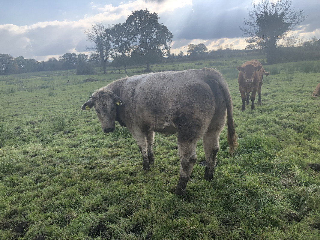 295C3FB6-156B-4FE5-BFA3-6C43513E32CE