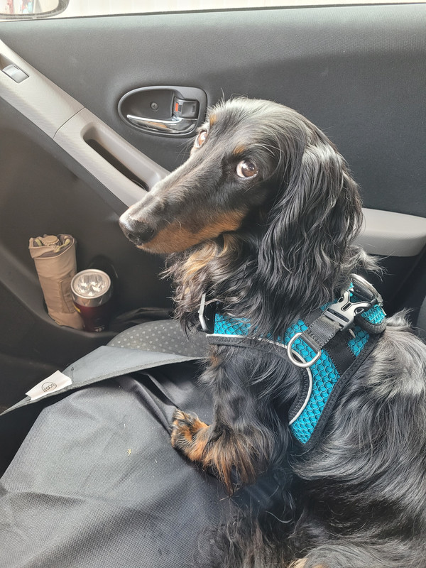 [Image: 20221101-135514.jpg]