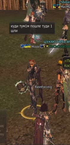 molli.jpg
