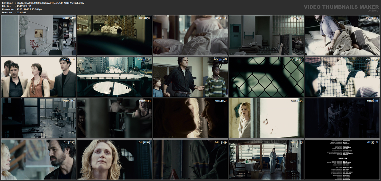 Blindness.2008.1080p.BluRay.DTS.x264.D-Z0N3-Vietsub.mkv