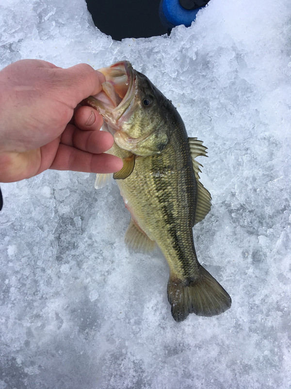 CF8A59B6-11B7-45C4-B4CB-65BA817A4236