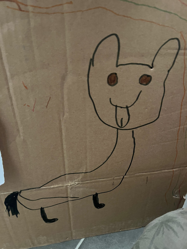 [Image: 70-FC013-A-5731-4704-ABEE-A75-EA2-E14-C75.jpg]