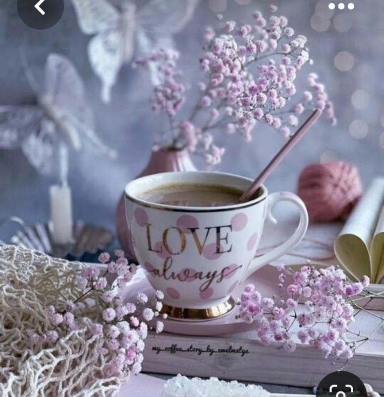 Screenshot_20230309_235515_Pinterest