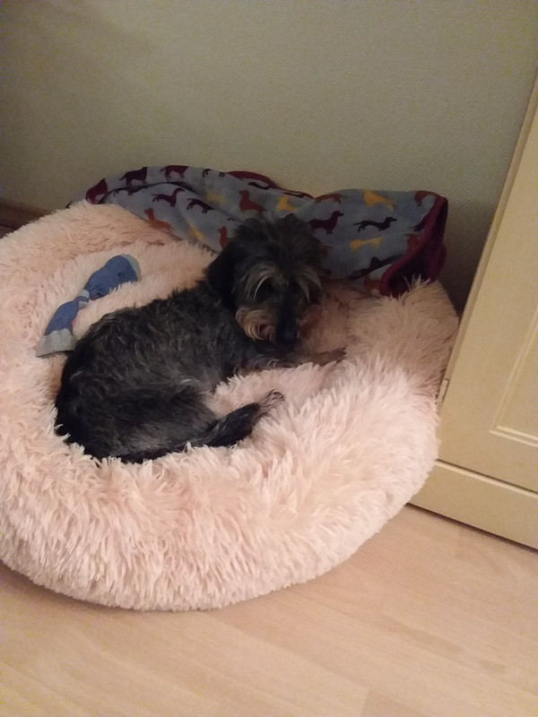 [Image: 20210114-194956-copy-1200x1600.jpg]