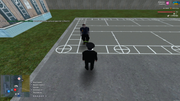 zakinciv13